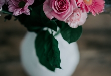 firma pompe funebre Alba Iulia Pompe Funebre Alba Iulia